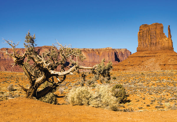 Monument Valley
